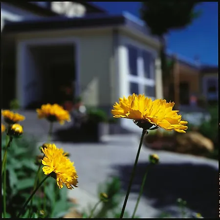 Hotel Zum Kronprinzen Oberwesel