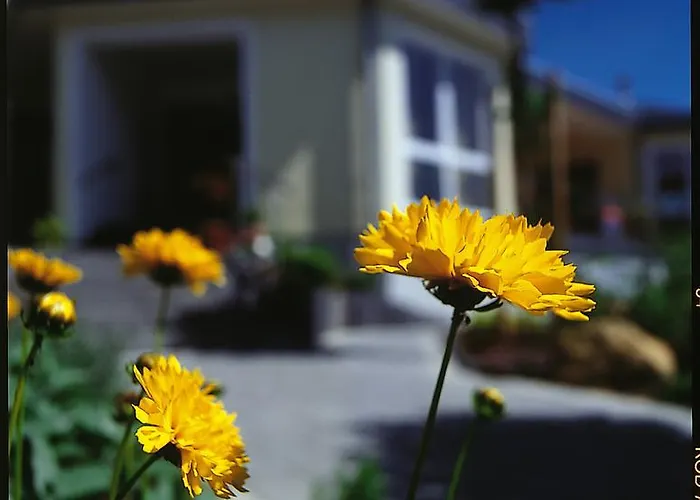 Hotel Zum Kronprinzen Oberwesel