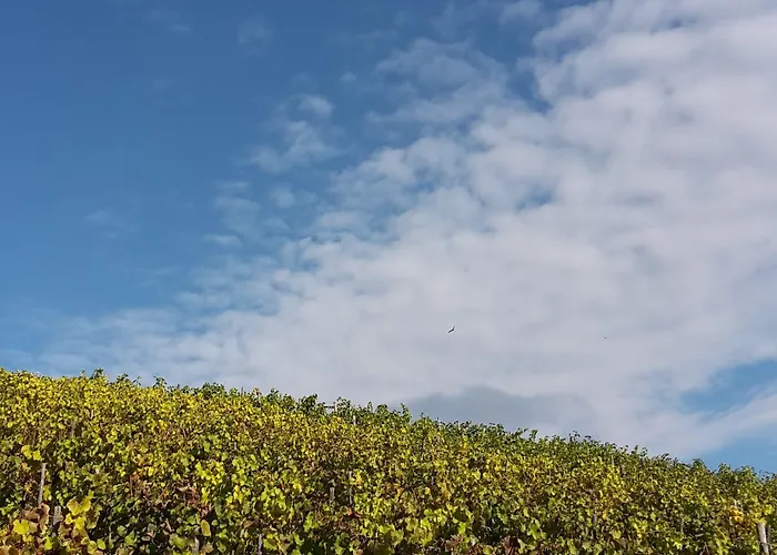 Hotel Zum Kronprinzen Oberwesel